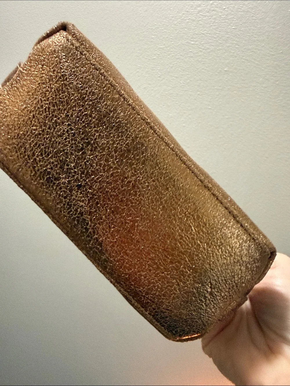 India Hicks Bronze Firefly Metallic Cosmetic Pouch w/ Dust Bag